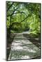 Greece, Epirus, Zagorohoria, Vikos Gorge, Riverfront Walkway-Walter Bibikow-Mounted Photographic Print