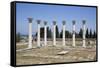 Greece, Kos Islands, Askelepieon, Colonnade-Samuel Magal-Framed Stretched Canvas