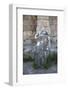 Greece, Kos Islands, Askelepieon, Statue-Samuel Magal-Framed Photographic Print