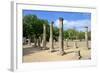 Greece Olympia Origin of the Olympic Games-Oleg Znamenskiy-Framed Photographic Print