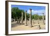 Greece Olympia Origin of the Olympic Games-Oleg Znamenskiy-Framed Photographic Print