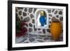 Greece, Santorini. Flower pots decorating a courtyard-Hollice Looney-Framed Photographic Print