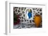 Greece, Santorini. Flower pots decorating a courtyard-Hollice Looney-Framed Photographic Print