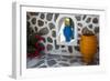 Greece, Santorini. Flower pots decorating a courtyard-Hollice Looney-Framed Photographic Print