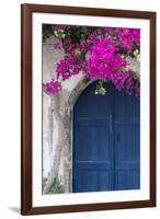 Greece, Santorini. Weathered blue door is framed by bright pink Bougainvillea blossoms.-Brenda Tharp-Framed Photographic Print