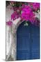 Greece, Santorini. Weathered blue door is framed by bright pink Bougainvillea blossoms.-Brenda Tharp-Mounted Photographic Print