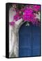 Greece, Santorini. Weathered blue door is framed by bright pink Bougainvillea blossoms.-Brenda Tharp-Framed Stretched Canvas