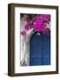 Greece, Santorini. Weathered blue door is framed by bright pink Bougainvillea blossoms.-Brenda Tharp-Framed Photographic Print