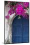 Greece, Santorini. Weathered blue door is framed by bright pink Bougainvillea blossoms.-Brenda Tharp-Mounted Photographic Print