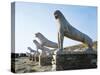 Greece, Southern Aegean, Cyclades Islands, Delos Terrace of Lions-null-Stretched Canvas