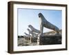 Greece, Southern Aegean, Cyclades Islands, Delos Terrace of Lions-null-Framed Giclee Print