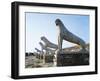Greece, Southern Aegean, Cyclades Islands, Delos Terrace of Lions-null-Framed Giclee Print
