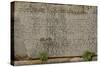 Greece. Sparta. Inscription on the Stone. Greek Writing-null-Stretched Canvas