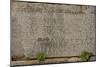 Greece. Sparta. Inscription on the Stone. Greek Writing-null-Mounted Giclee Print