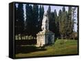 Canvas Black