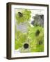 Greeen and Grey-Jodi Pedri-Framed Art Print