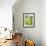 Greeen and Grey-Jodi Pedri-Framed Art Print displayed on a wall