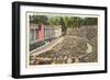 Greek Amphitheatre, Berkeley-null-Framed Premium Giclee Print