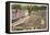 Greek Amphitheatre, Berkeley-null-Framed Stretched Canvas