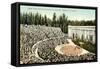 Greek Amphitheatre, Berkeley-null-Framed Stretched Canvas