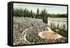 Greek Amphitheatre, Berkeley-null-Framed Stretched Canvas