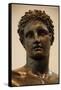 Greek Art. Greece. 4th Century Bce. Bronze Statue of a Youung Identified as Perseus or Paris. Bust-null-Framed Stretched Canvas