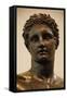 Greek Art. Greece. 4th Century Bce. Bronze Statue of a Youung Identified as Perseus or Paris. Bust-null-Framed Stretched Canvas