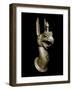 Greek Art : Griffin Figurine-null-Framed Photographic Print