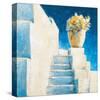 Greek Blossom-Bjoern Baar-Stretched Canvas