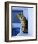 Greek Cat-Hubert & Klein-Framed Art Print
