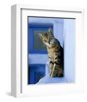 Greek Cat-Hubert & Klein-Framed Art Print