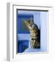 Greek Cat-Hubert & Klein-Framed Art Print