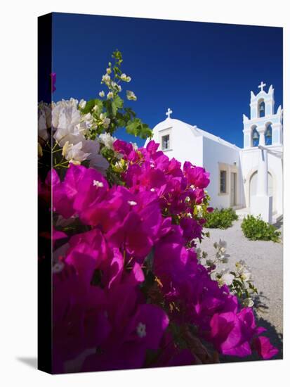 Greek Church and Flowers, Santorini, Cyclades, Greek Islands, Greece, Europe-Sakis Papadopoulos-Stretched Canvas