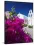 Greek Church and Flowers, Santorini, Cyclades, Greek Islands, Greece, Europe-Sakis Papadopoulos-Stretched Canvas