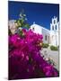 Greek Church and Flowers, Santorini, Cyclades, Greek Islands, Greece, Europe-Sakis Papadopoulos-Mounted Photographic Print