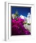 Greek Church and Flowers, Santorini, Cyclades, Greek Islands, Greece, Europe-Sakis Papadopoulos-Framed Premium Photographic Print