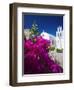 Greek Church and Flowers, Santorini, Cyclades, Greek Islands, Greece, Europe-Sakis Papadopoulos-Framed Photographic Print