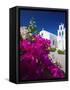 Greek Church and Flowers, Santorini, Cyclades, Greek Islands, Greece, Europe-Sakis Papadopoulos-Framed Stretched Canvas