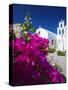 Greek Church and Flowers, Santorini, Cyclades, Greek Islands, Greece, Europe-Sakis Papadopoulos-Stretched Canvas