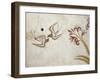 Greek Civilization Depicting Spring, from Akrotiri, Thera, Santorini-null-Framed Giclee Print