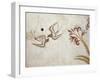 Greek Civilization Depicting Spring, from Akrotiri, Thera, Santorini-null-Framed Giclee Print