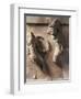 Greek Civilization, Metope of Athenian Treasury at Delphi Relief Depicting Heracles and Cycnus-null-Framed Giclee Print