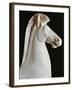 Greek Civilization Statue of Horse, from Athens-null-Framed Giclee Print