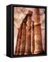 Greek Columns and Greek Carvings of Women, Temple of Zeus, Athens, Greece-Steve Satushek-Framed Stretched Canvas