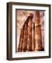 Greek Columns and Greek Carvings of Women, Temple of Zeus, Athens, Greece-Steve Satushek-Framed Photographic Print