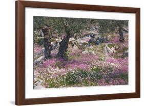 Greek Garden Olive Trees-null-Framed Premium Giclee Print