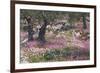 Greek Garden Olive Trees-null-Framed Art Print