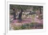 Greek Garden Olive Trees-null-Framed Art Print