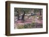 Greek Garden Olive Trees-null-Framed Art Print