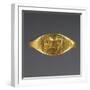 Greek Gold Ring with Engraved Sow-null-Framed Photographic Print